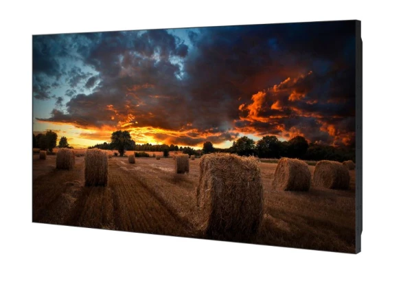 Monitor 55" Samsung LH55VMBUBGBXEN IPS 1920x1080/8ms/2xHDMI/DP/USB/RJ45