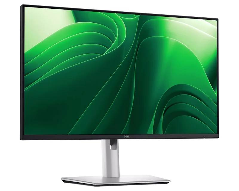 DELL OEM 23.8 inch P2425DE QHD 100Hz USB-C Pro Plus IPS monitor