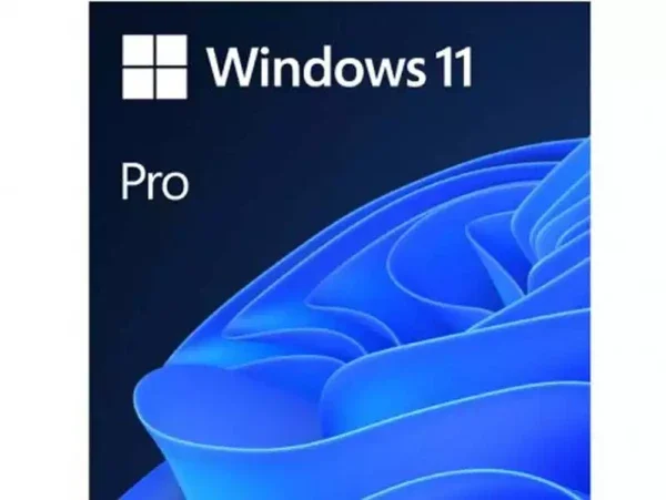 Microsoft Windows 11 Pro 64bit Eng Intl OEM DSP DVD FQC-10528 (24H2)